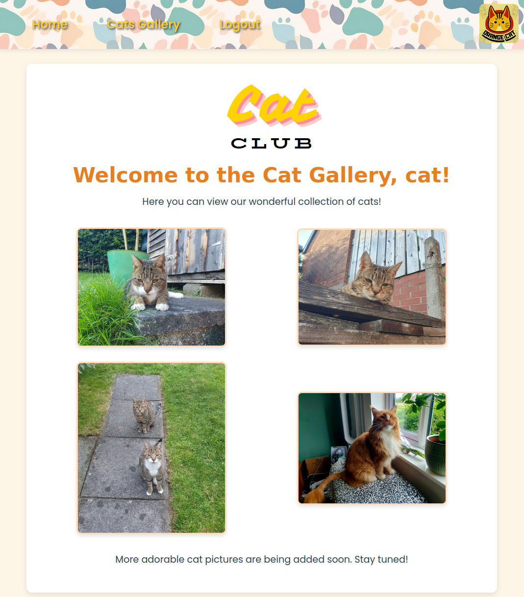 User registration and login forms used to create an account and obtain a JWT