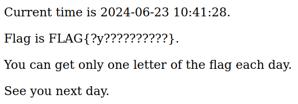 Webpage showing single revealed flag character for the current day