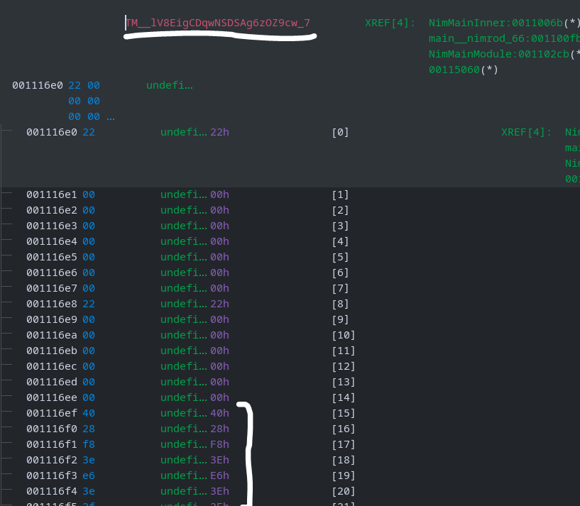 Ghidra memory/data view showing the Nim string header and the encrypted flag byte sequence starting at offset 0x10