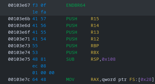 Ghidra instruction view at function entry before patching