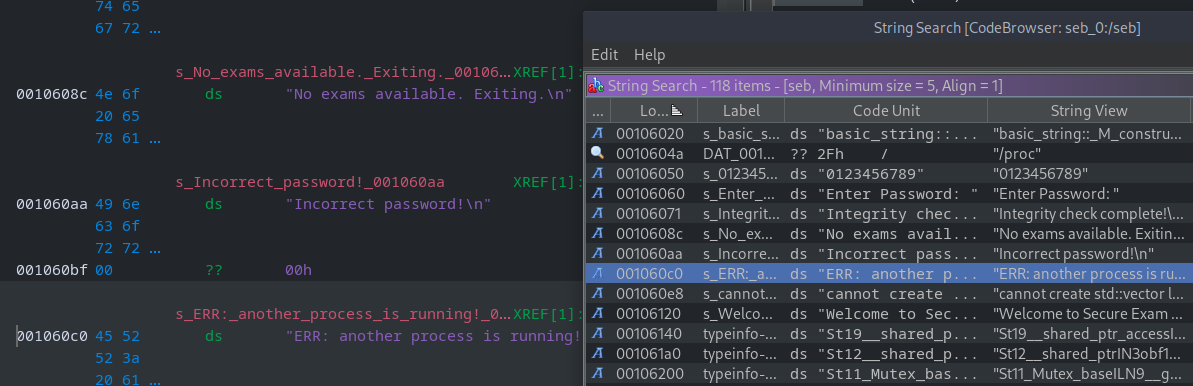 Ghidra string search results highlighting the error message about another process running