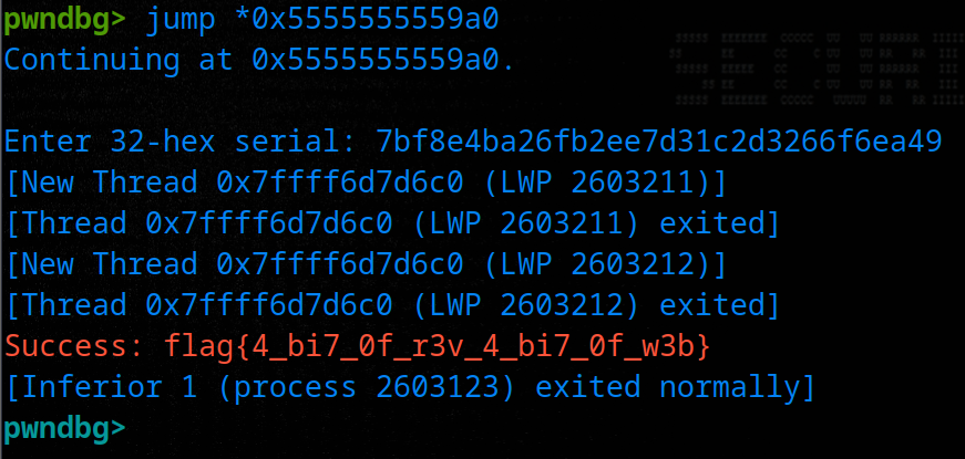 Successful serial submission revealing the flag